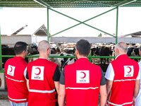 Kızılay’ın 2025 kurban vekalet bedelleri belli oldu