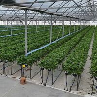 Bafra Sera OSB 1500 kişiye iş imkanı sağlayacak