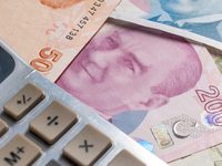 Bütçe mayısta fazla verdi